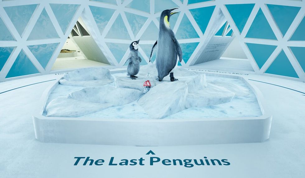 the last penguins exhibit cartoon