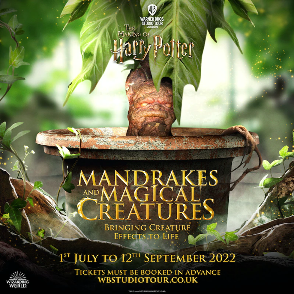 The Making of Harry Potter experience
