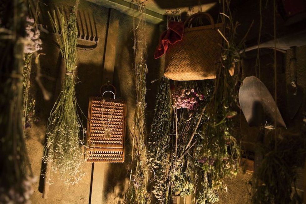 the nest immersive theatre