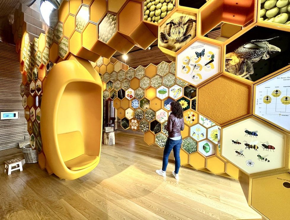 The Newt in Somerset