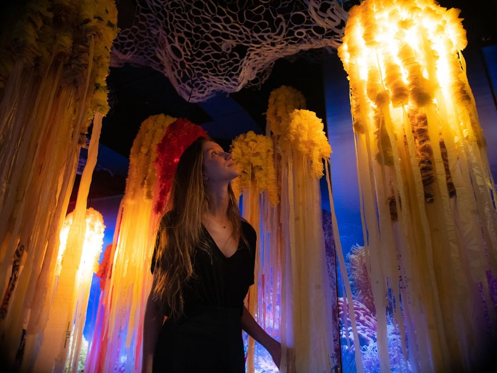 The original New York experience