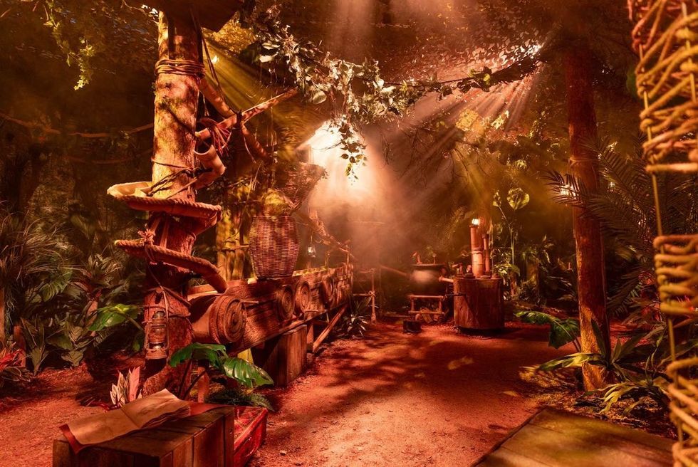 The Paddington bear Experience