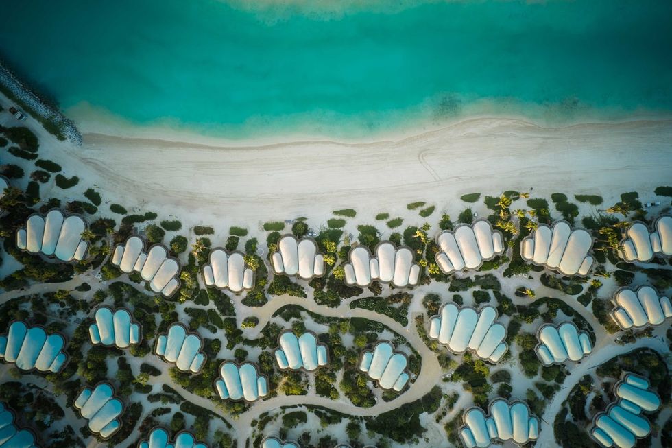 the red sea shura island