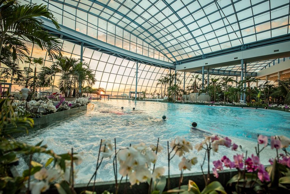 The Relax Zone at Suntago Water World, indoor tropical pool with plants and flowers, under a large glass roof at sunset.