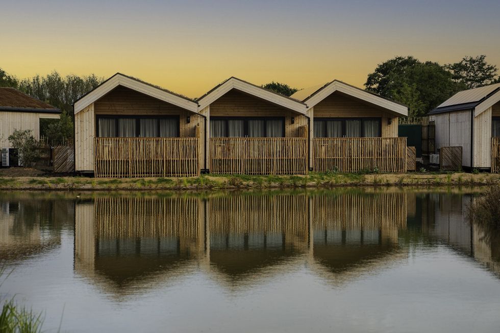 the reserve at chester zoo