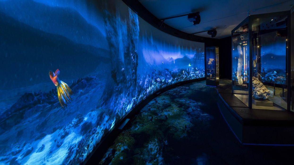 The Unknown Land - Adnan Icagic UM-UiB environmental immersion