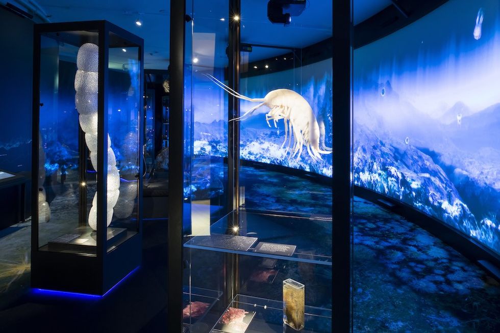 The Unknown Land by Adnan Icagic UM-UiB