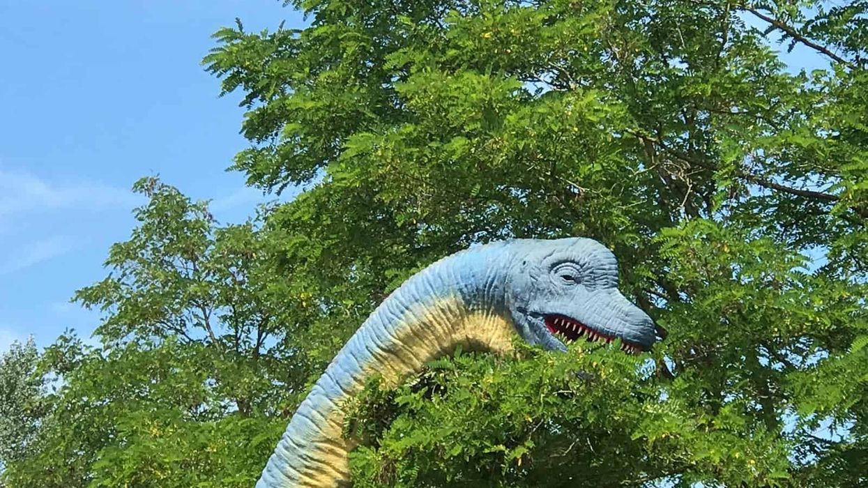 Themebuilders Dino Splash Plopsaland