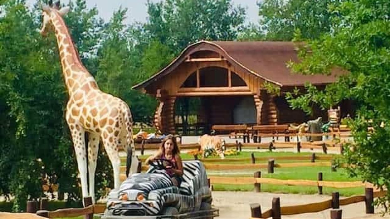 themebuilders fajnpark animals