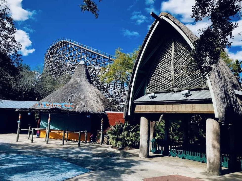 theming tigris busch gardens tampa