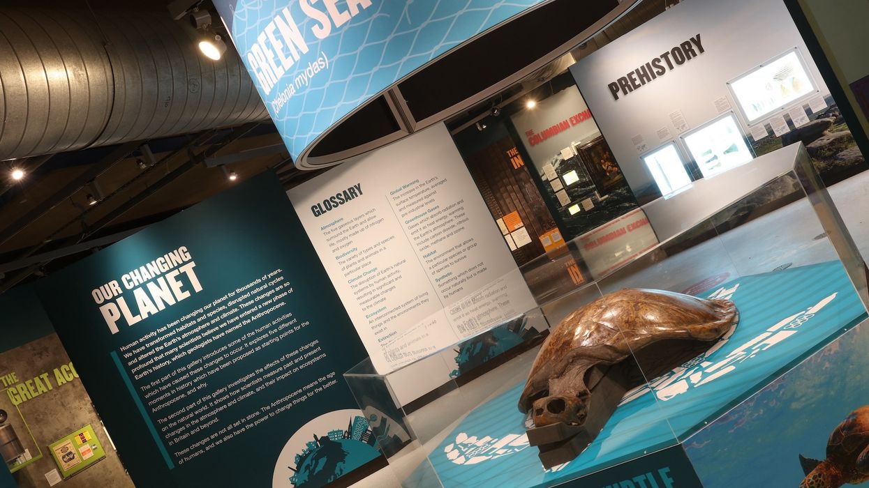 thinktank birmingham