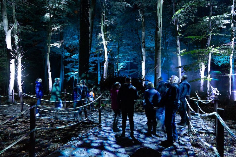 Thinkwell Harry Potter forest trail