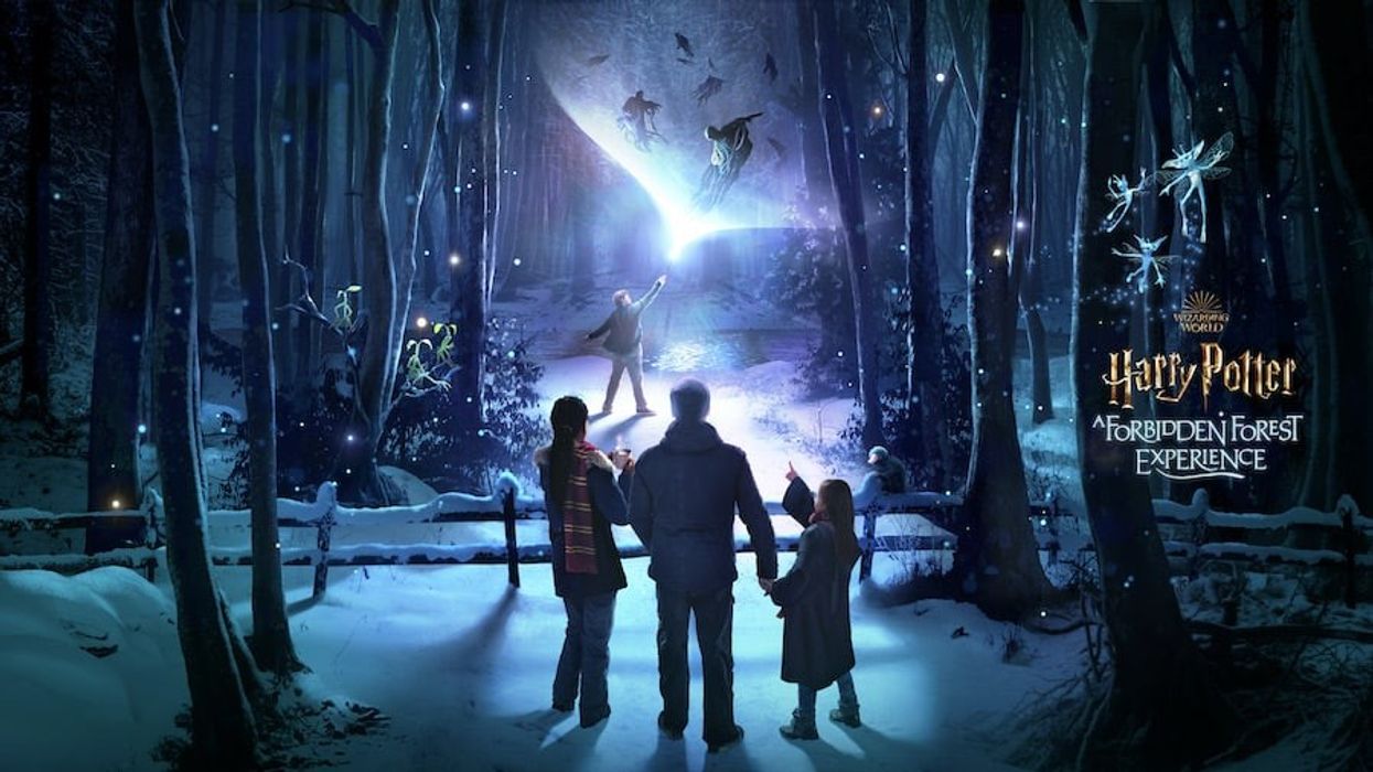 Thinkwell_WB_Harry Potter Forbidden Forest