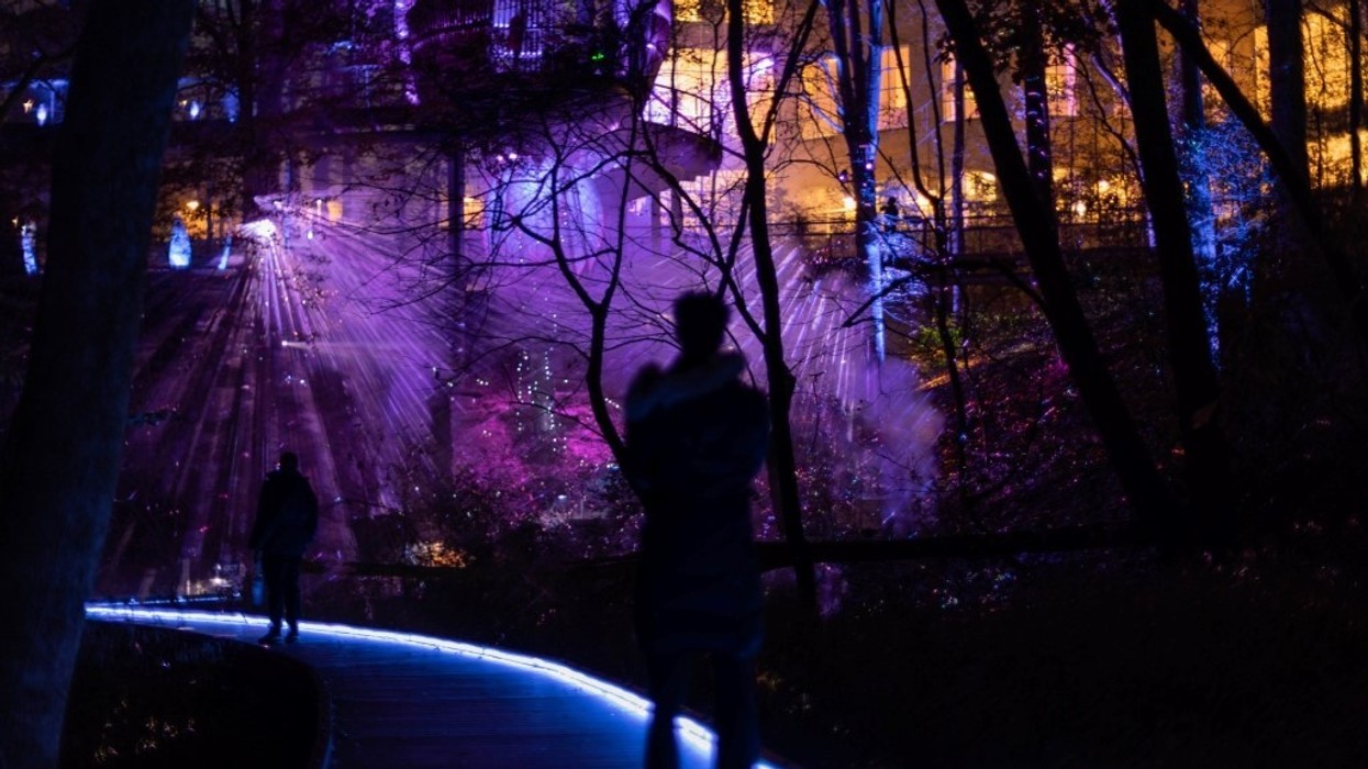 Thinkwell x Fernbank AGLOW silouette