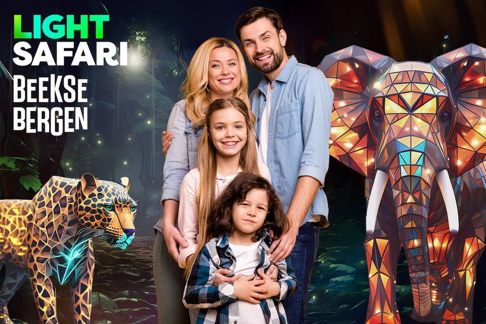 ThisPlays Light Safari