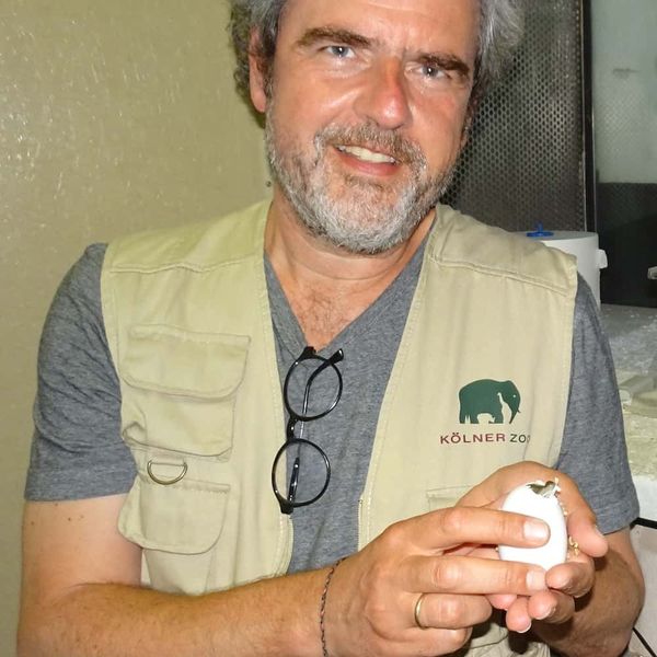 thomas ziegler