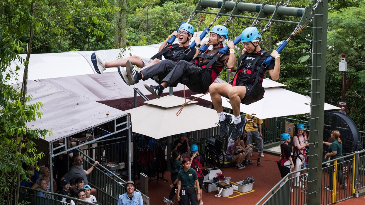 Three people in harnesses on a zipline swing, surrounded by spectators in a lush green setting at Rainforest Wild Adventure.