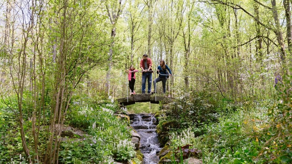 Three people stand on a small bridge over a stream in a lush green forest, at Mt. Cuba Center.