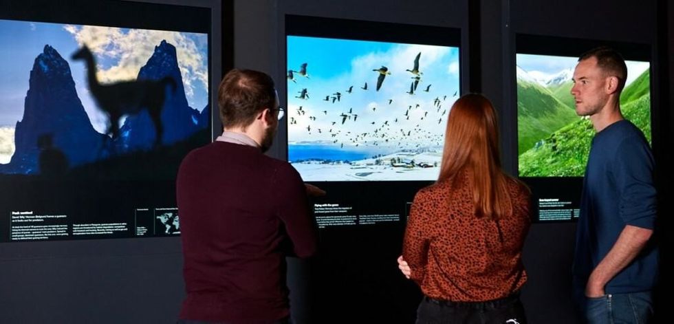 Three people viewing nature photography in a dimly lit gallery - NHM's Wildlife Photographer of the Year travelling exhibition