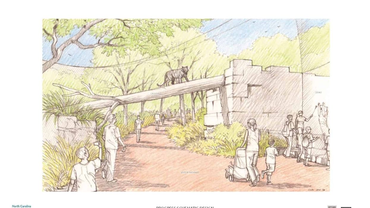tiger asia concept art north carolina zoo