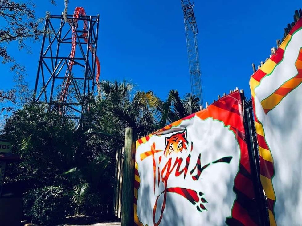 tigris busch gardens tampa construction