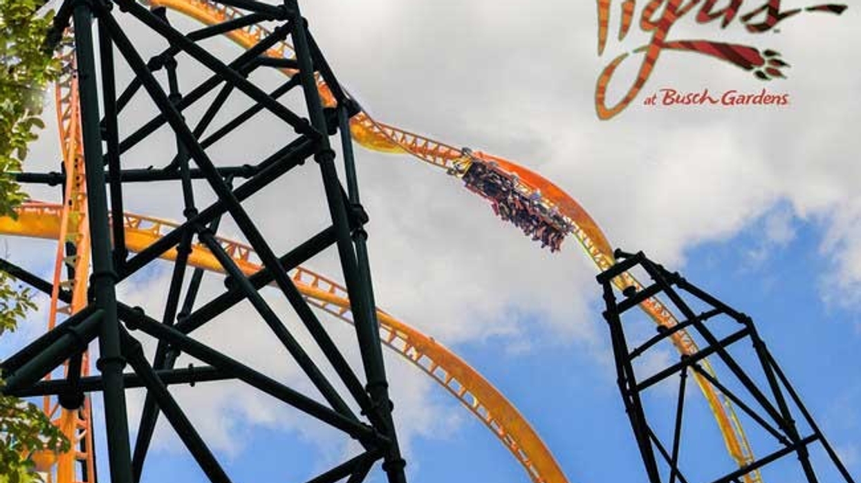 tigris busch gardens