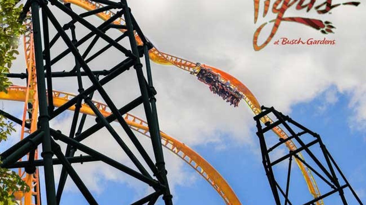 tigris busch gardens