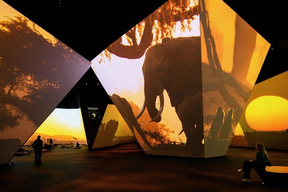 Tinker imagineers BBC Earth Experience design elephants