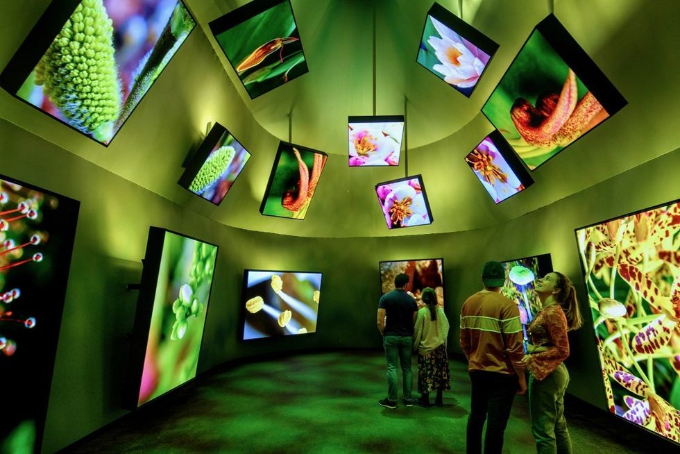 Tinker imagineers BBC Earth Experience design screens