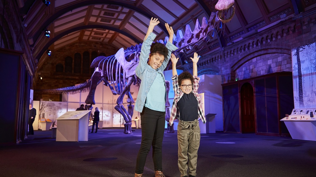 titanosaur dinosaur natural history museum
