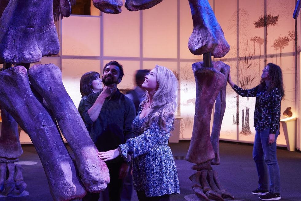 titanosaur dinosaur natural history museum