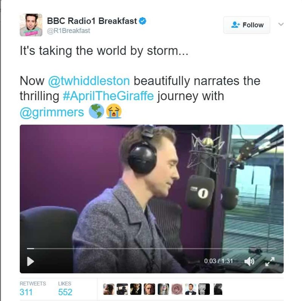 tom hiddleston april the giraffe bbc radio 1