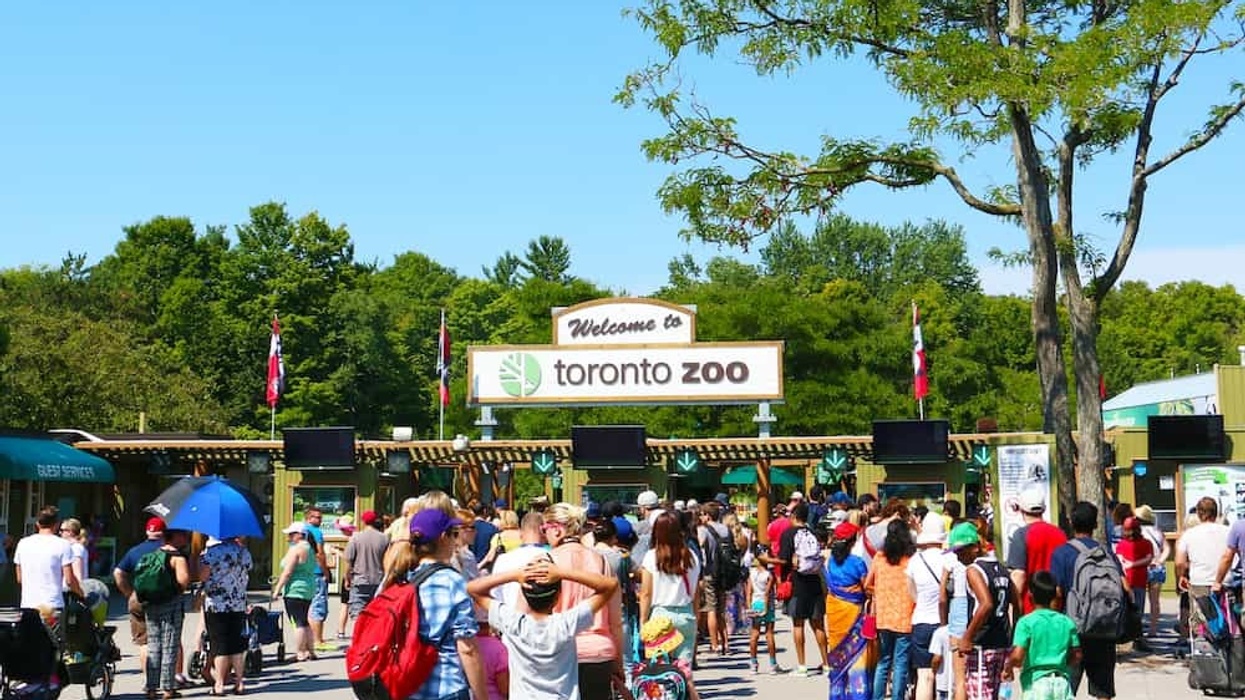 Toronto Zoo Dolf DeJong