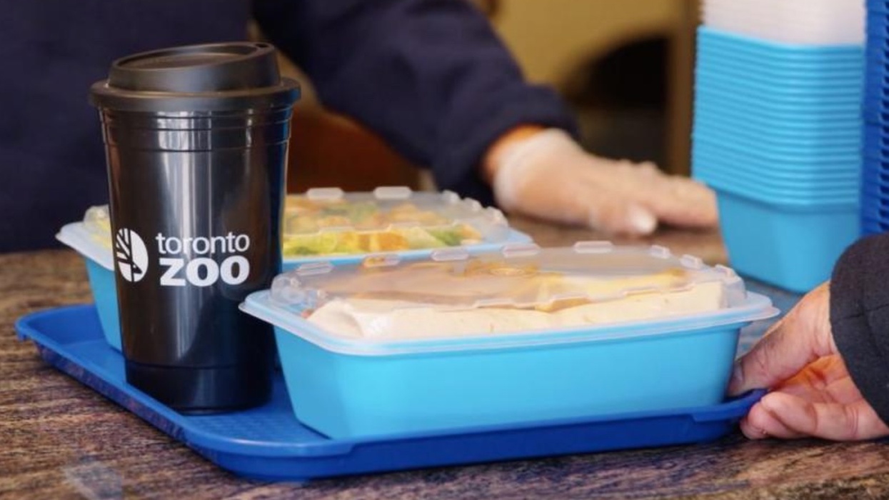 toronto zoo reusable packaging