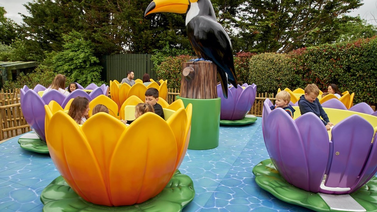 Toucan Twister Drusillas