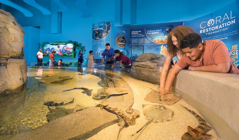 Touch pool Aquarium at the Boardwalk