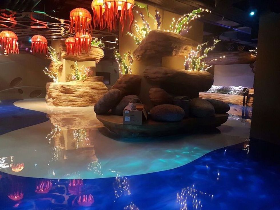touch pool at jakarta aquarium