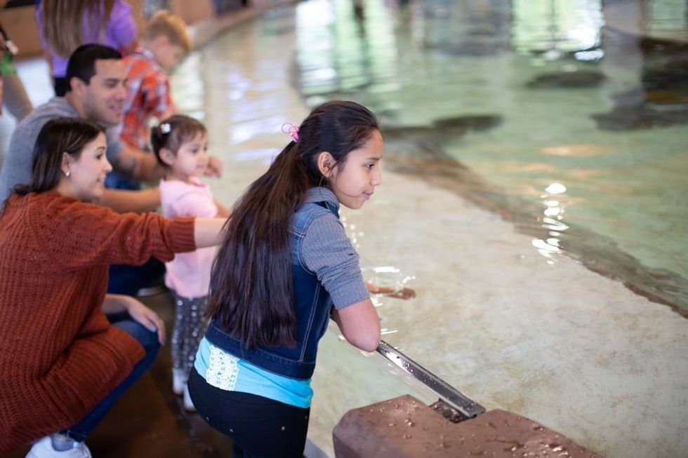 Touch pool Kansas City Zoo