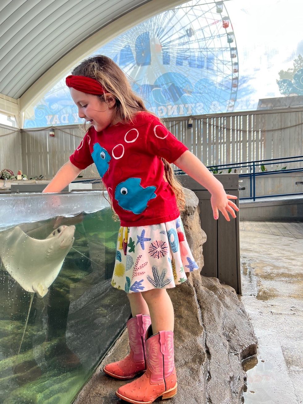 Touch-Tank-Childrens-Aquarium-Dallas