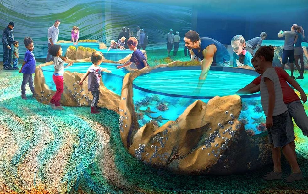 touch tanks union station st. louis aquarium