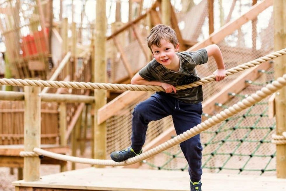 Towering Treetop Tangles