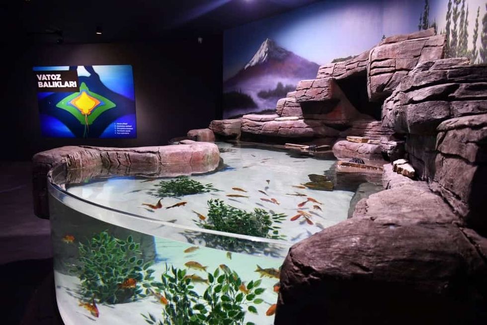 Trabzon Aquarium Display
