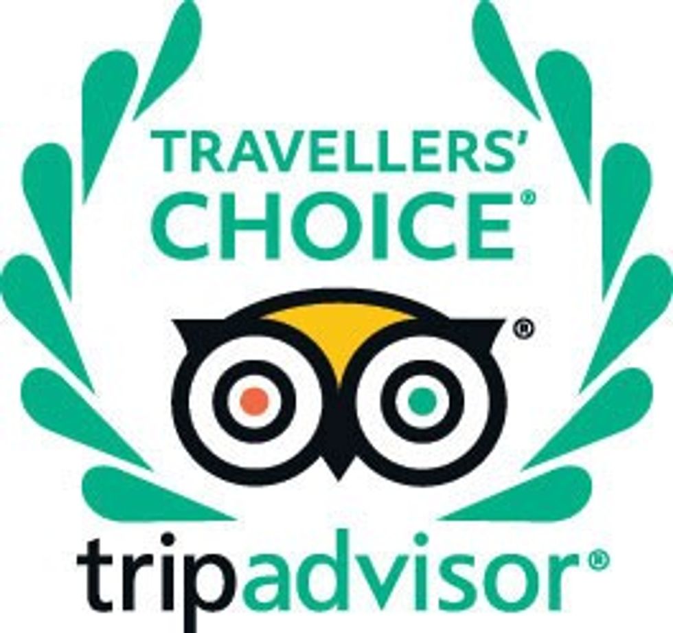 Travelers Choice TripAdvisor logo