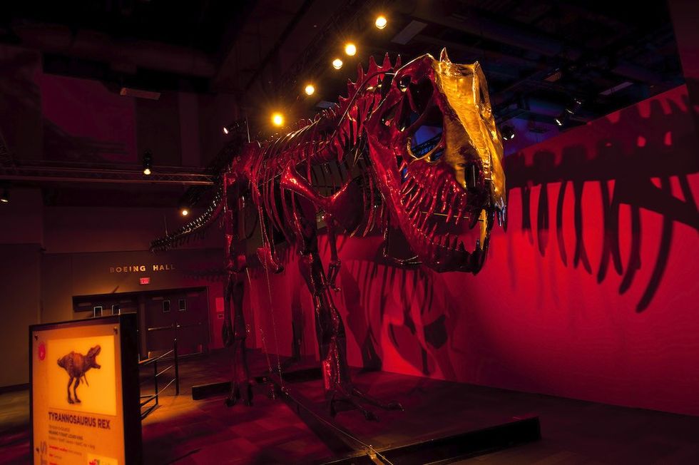 travelling exhibitions