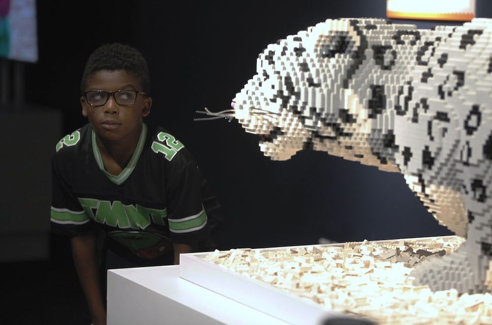 Travelling exhibitions