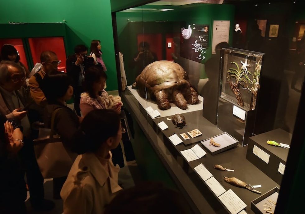 Treasures-of-the-Natural-World-Japan