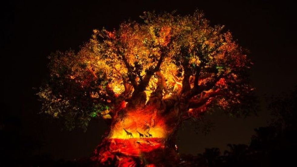 Tree of Life Awakenings Lion King Disney Animal Kingdom