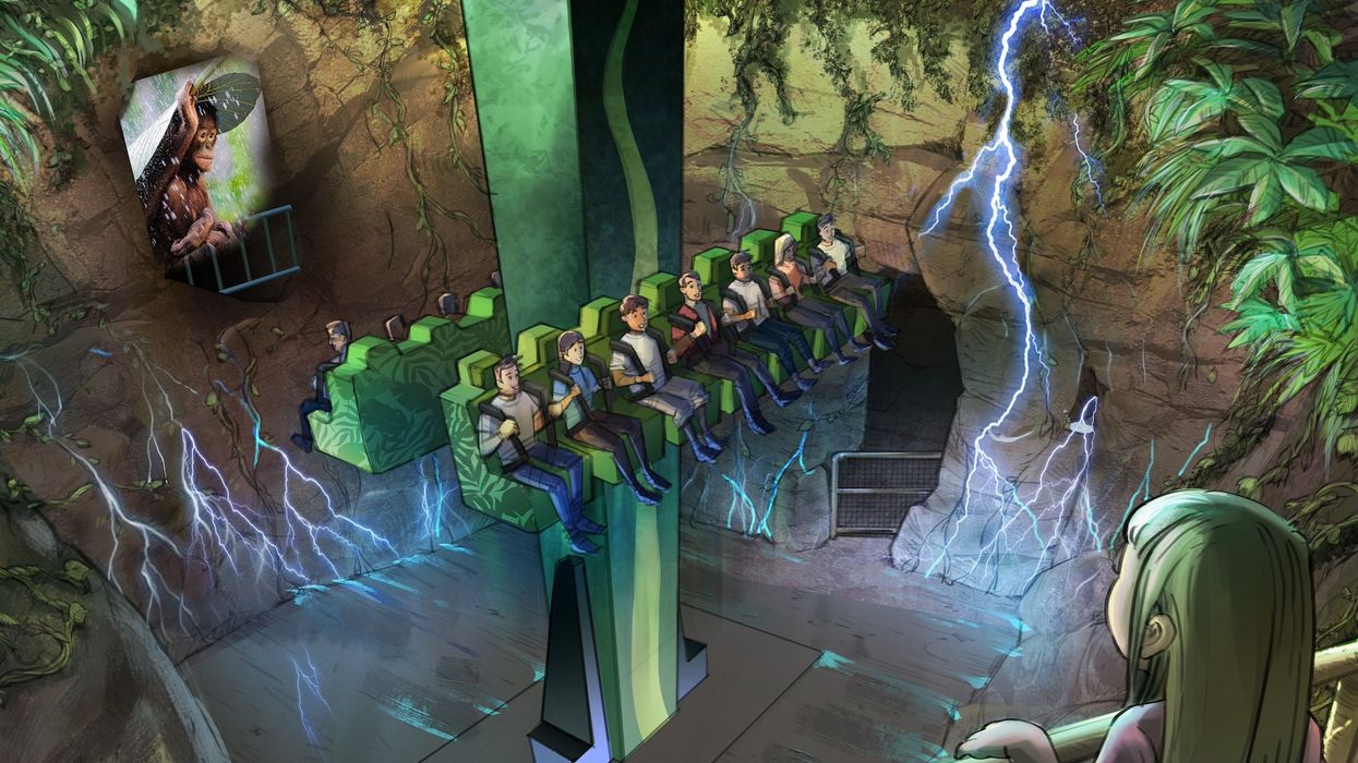 tree top drop busch gardens tampa bay