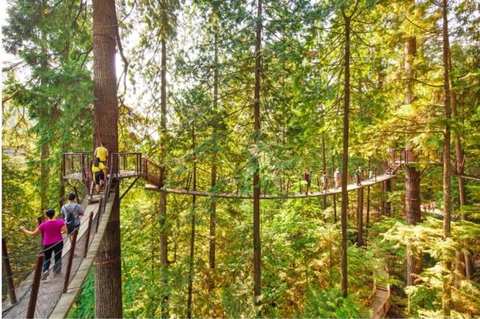tree top walk at Capilano Suspension Bridge Park, Canada