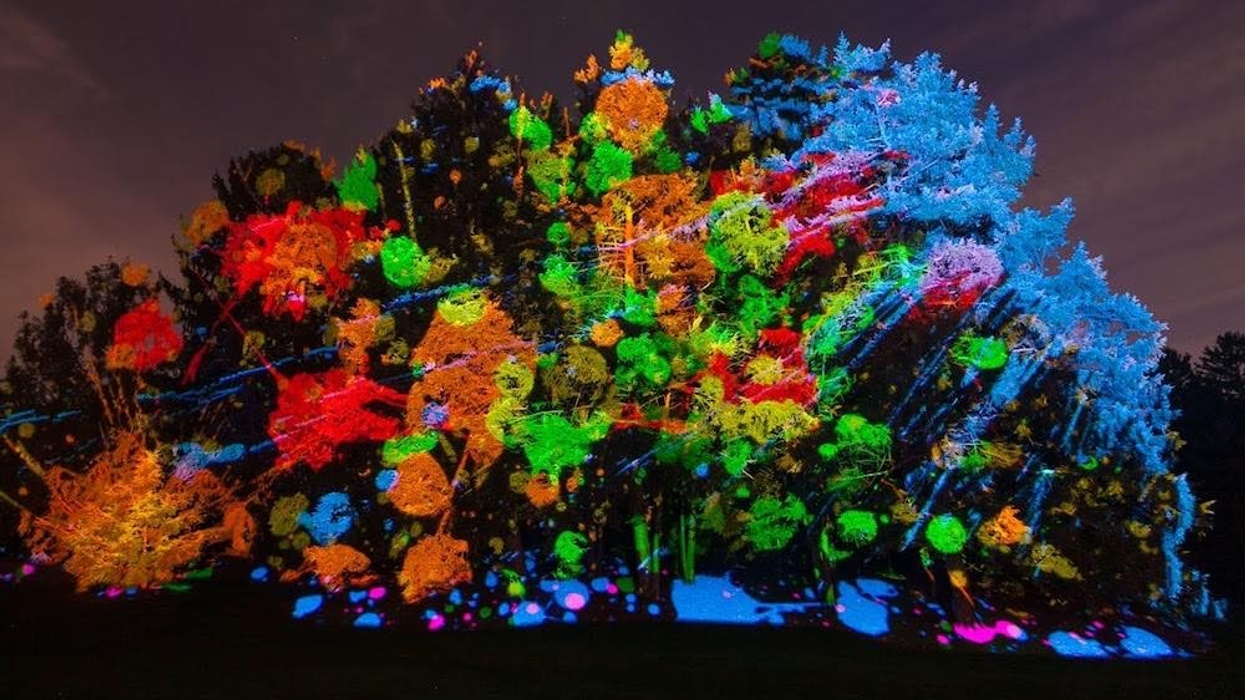 Treemagnination morton-arboretum-illumination-seasonal-events